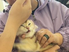 -美联众合动物医院·24h京西诊疗中心