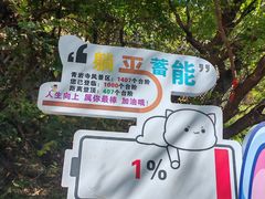 -青岩寺风景区