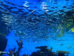 -华夏文旅海洋公园