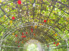 -Ohkajhu Organic Farm Sansai