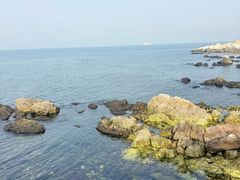 -养马岛旅游度假区