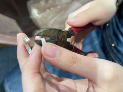-十八字金·银饰·拼豆·开蚌DIY(魏公芳华里店)