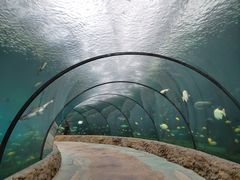 -珠海长隆海洋王国