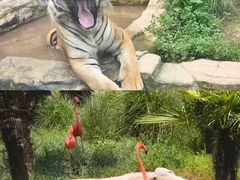 -阿露佳·舌尖上的安吉菜