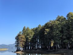 -四明湖