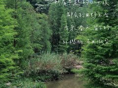-云溪植物园
