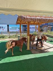 -萌宠亲子动物乐园(槐房万达店)