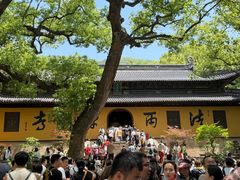 -普陀山风景名胜区-法雨禅寺