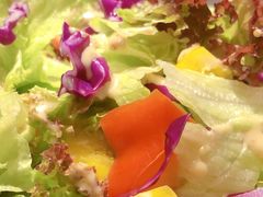 -禧和源养生素食茶馆