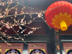 -青羊宫