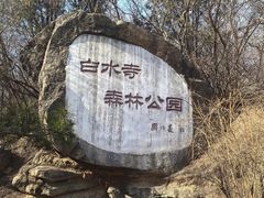 -白水寺森林公园