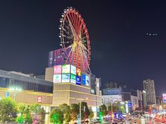 -泰盛楼顶摩天轮