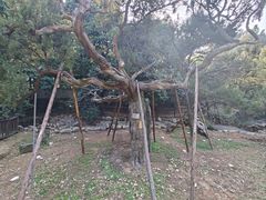 -草庵摩尼教遗址公园