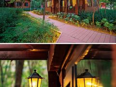 -济南野生动物世界