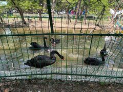 -长白岛森林公园