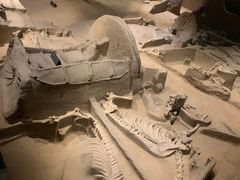 -洛阳周王城天子驾六博物馆