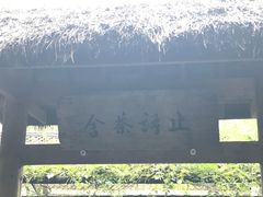 -洛阳白马寺