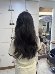 -镁连社·美联社