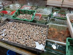 -华威西营里农产品批发市场