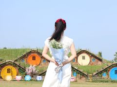 -武汉紫薇都市田园