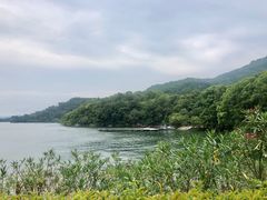 -羡餐厅·杭帮菜·淳菜(千岛湖自由洲际殿店)