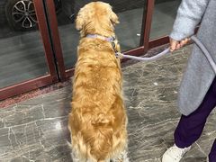 -宠爱国际维尼动物医院·疑难骨科·神经外科·肿瘤科(丰潭路店)