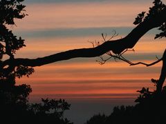 -罗浮山-南楼寺