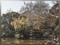 -人民公园-相亲角