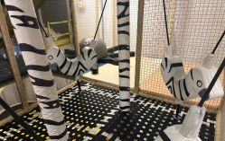 -奈尔宝·儿童乐园·亲子餐厅(苏州大悦城店)