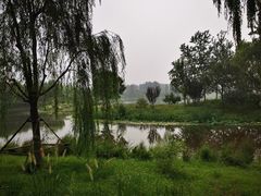 -东郊湿地公园