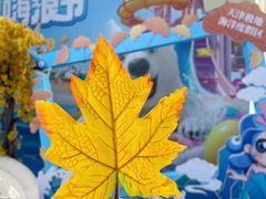 -海合安天津极地海洋公园