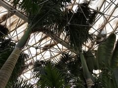 -石家庄市植物园