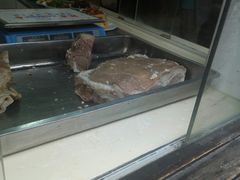 -西复兴羊肉馆(南翔老街店)