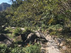 -大岭沟猕猴桃谷风景区