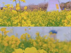 -武汉紫薇都市田园