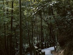 -藏龙百瀑风景区