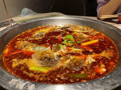 -蜀滋香鲜鱼美蛙火锅(339店)