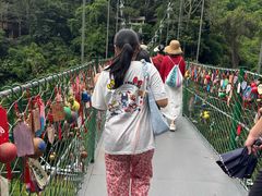 -西双版纳原始森林公园