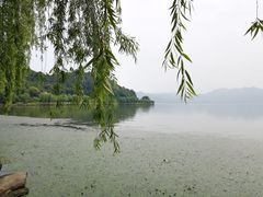 -东钱湖小普陀景区