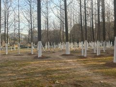 -合肥生态公园