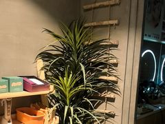 -施奈儿.洗头頭療.按摩SPA.采耳(上梅林店)