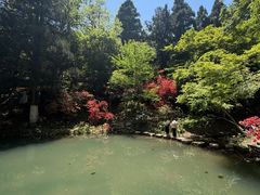 -莫干山风景区