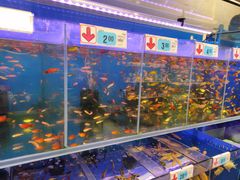 -大润发(花都店)