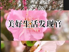 -群力丁香公园