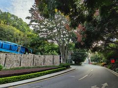 -仙岳公园