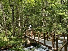 -叠溪松坪沟景区