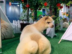-武汉5D星空错觉艺术馆(中心百货店)