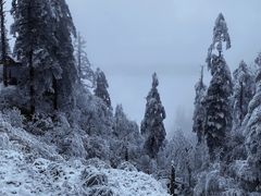 -瓦屋山景区