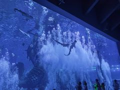 -哈尔滨波塞冬海底世界
