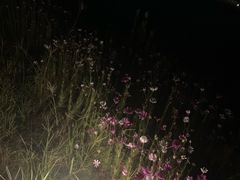 -禾悦庄餐厅